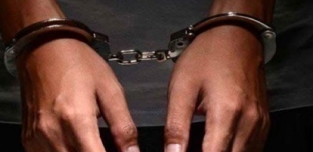 Ziguinchor : Deux individus interpellés avec 8 kg de chanvre indien, près du pont de Tobor