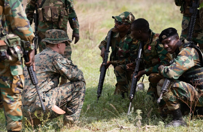 Plus de détails sur l'exercice militaire « African Lion 2025 » : le Sénégal au centre d’une coopération sécuritaire internationale
