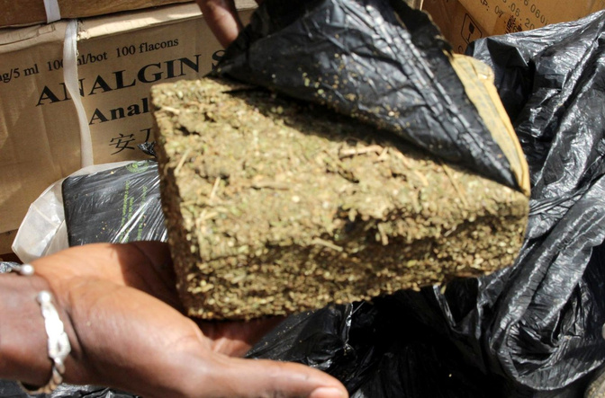 La police frappe fort à Ziguinchor : Saisie de six kilogrammes de chanvre indien, trois individus interpellés