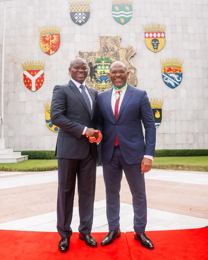Le Président gabonais honore Tony Elumelu, pour son engagement en faveur du développement de l'Afrique