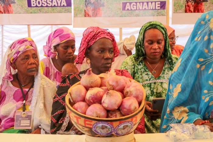 Entrepreneuriat féminin : Un GIE œuvre à la formalisation de ses membres, dans la région de Matam