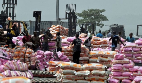 Le prix du kg de riz parfumé baisse de 2,2% en décembre 2015 au Sénégal