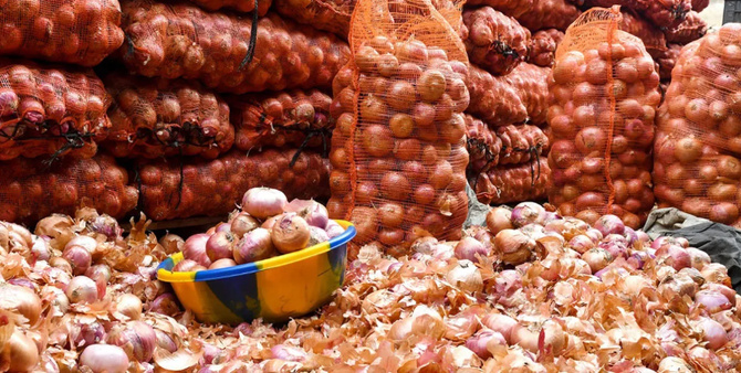 Marché de l’oignon : L’ARM suspend la commercialisation par les agrobusiness, du 22 mai au 15 juin, pour soutenir les petits producteurs