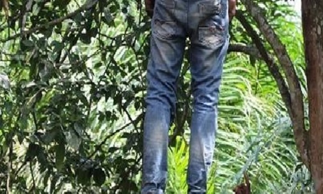 Drame à la forêt classée de Keur Massar : Cheikh Sow, jeune homme de 20 ans, retrouvé pendu