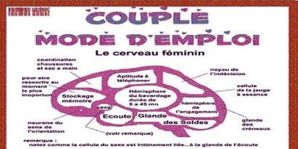 Vidéo-90% des filles, avant toute relation amoureuse, tâte le sexe de leur partenaire en guise de…Regardez