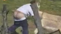 [Vidéo] Il fait ses besoins dans la nature mais l’âne ne le laisse pas finir. Regardez!