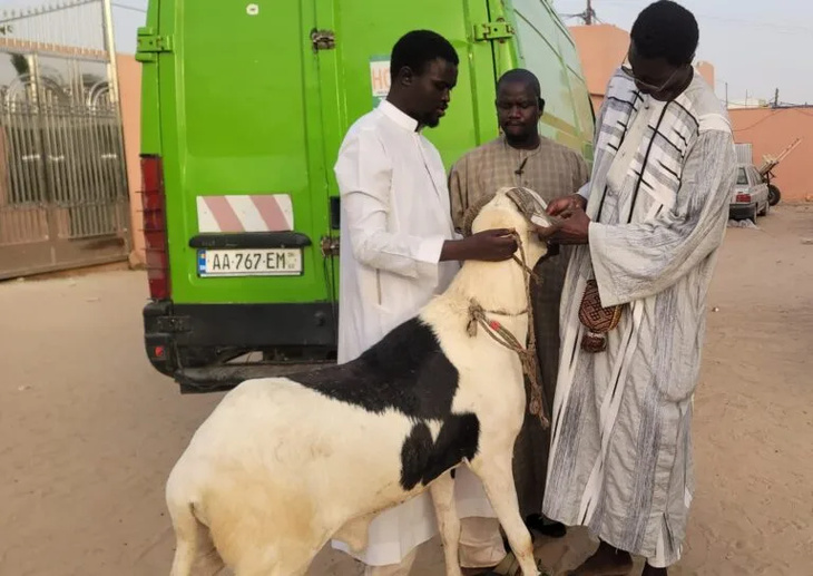 Tabaski 2025 : Ousmane Sonko offre un mouton à Serigne Mountakha Mbacké