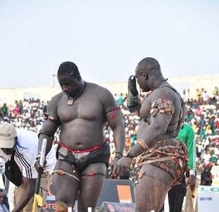 Modou Lô Vs Gris Bordeau officiellement ficelé: PAF décroche la revanche Modou Lô Vs Gris Bordeau officiellement ficelé: PAF décroche la revanche