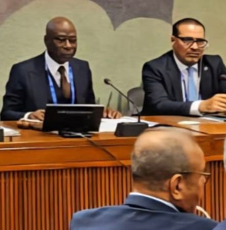 Confédération des Organisations Patronales d’Afrique : Baïdy Agne élu président du Patronat d’Afrique