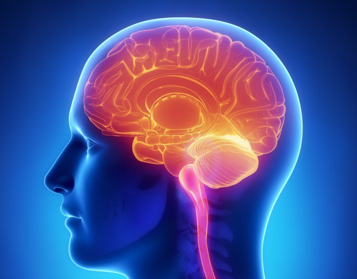 10 choses complètement incroyables sur les capacités folles de notre cerveau !