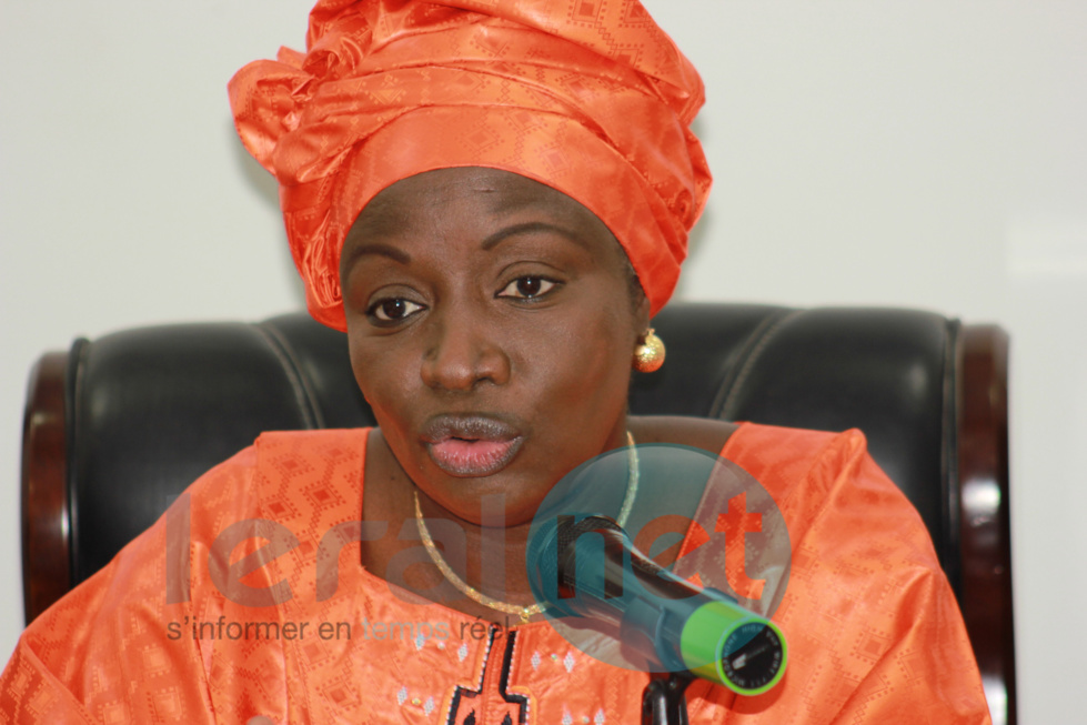 La rencontre du Comité d’initiative "Diiso Ngir Emergence" (En images)
