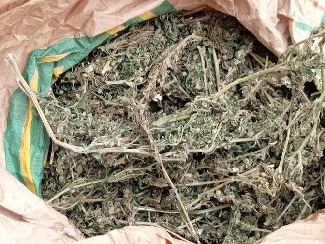 Photos / Lutte contre le faux-monnayage et le trafic illicite: Des billets noirs d’une contrevaleur de près de 1 milliard 123 millions en francs Cfa saisis à Ziguinchor