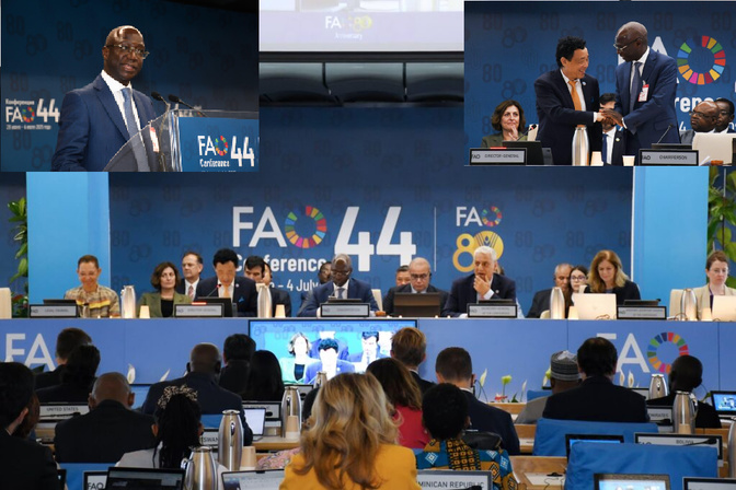 Le Sénégal préside la 44e Conférence de la FAO : un plaidoyer pour une mobilisation contre la faim