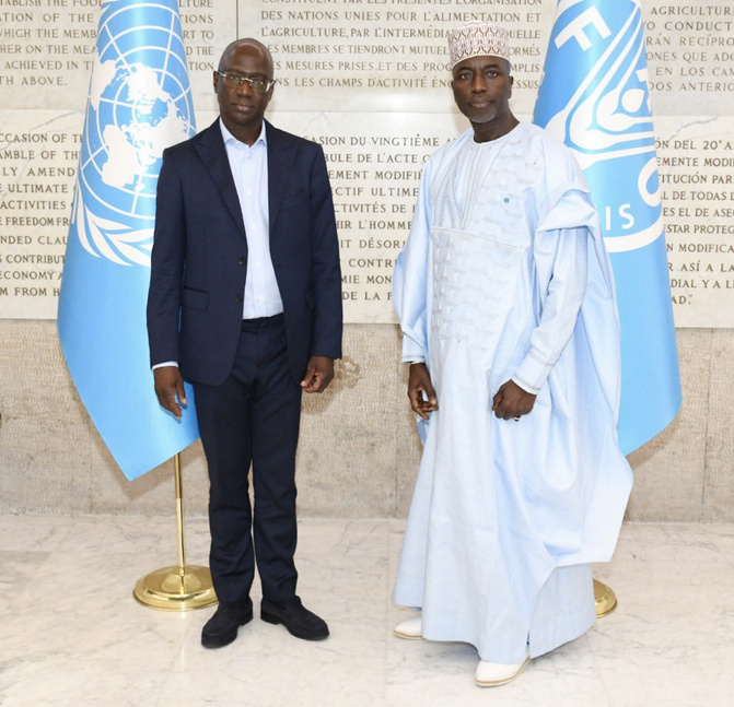 Dr Baba Soumaré nommé Directeur général adjoint de l’OMSA : une reconnaissance internationale de l’excellence sénégalaise