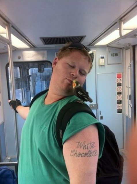 22 photos qui montrent bien que les transports en commun, c'est la jungle... Mais vraiment !