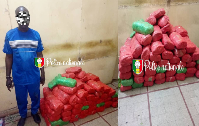 Kaolack I Trafic de drogue :  82 kg de chanvre indien saisis, un convoyeur arrêté...à Yeumbeul, un ressortissant étranger tombe avec des képas de Kush