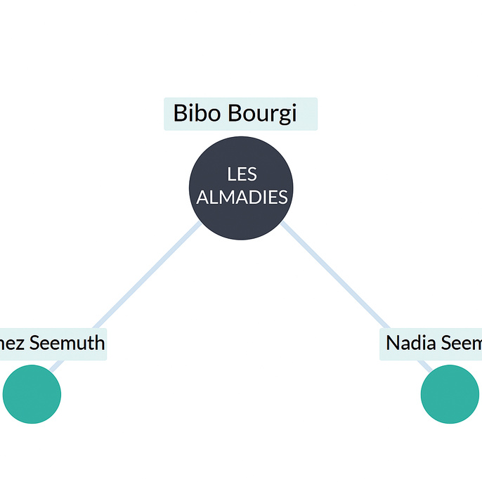 Des transferts suspects vers les USA ? Ramez Klaus Seemuth, proche de Bibo Bourgi, visé par des soupçons
