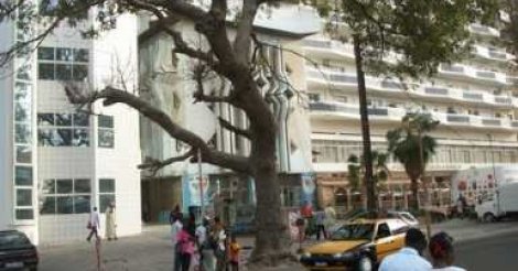 Immeuble Kébé : Une Française saute du 7e étage et meurt