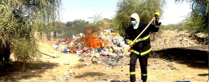 Vingt tonnes de produits illicites incinérés à Kédougou