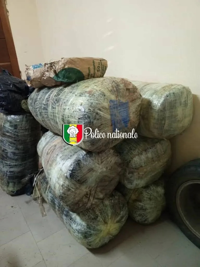 Mballing : La police déjoue une tentative de trafic de drogue sur la plage, 196 kg de chanvre saisis, les trafiquants en fuite