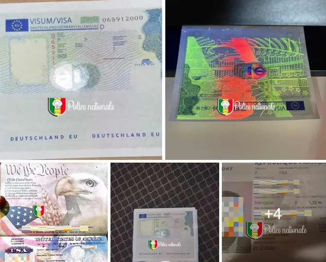 Réseau de faux documents démantelé : Trois personnes arrêtées à Ziguinchor