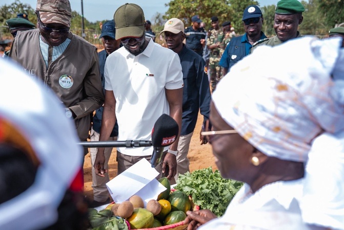 Mbao : Diomaye Faye donne le coup d’envoi de la caravane de reboisement pour un million d’arbres en 48h