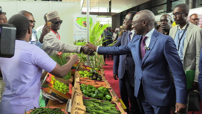 Horticulture au Sénégal : Un premier forum national pour transformer la crise en opportunité