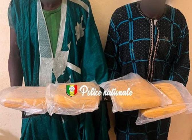 Opération antidrogue à Kidira : La police frappe un coup, deux trafiquants de chanvre indien arrêtés par l’OCRTIS