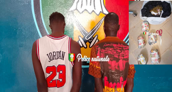 Trafic de drogue : La police de Ndamatou frappe un grand coup , six arrestations et de grosses saisies
