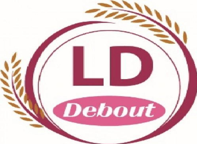 Situation nationale : LD Debout interpelle le Gouvernement sur l’économie, les inondations et la justice