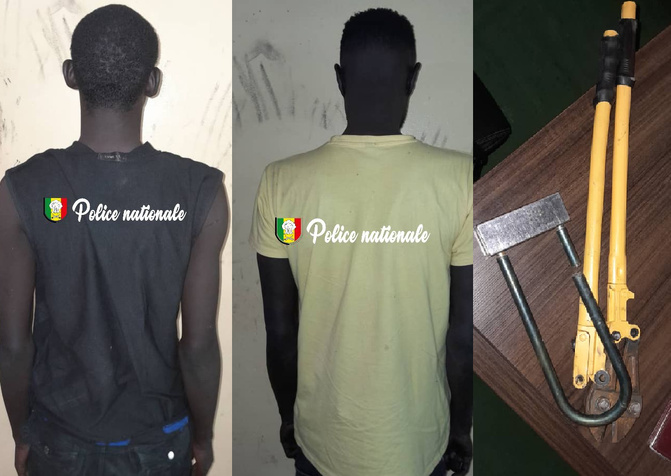 Opérations policières réussies à Grand Dakar : trafiquants et voleurs neutralisés pour trafic de drogue et vol de moto