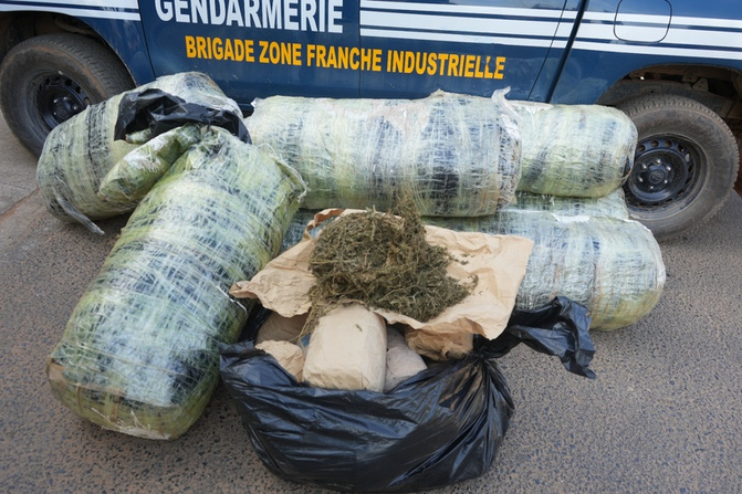 Trafic de drogue : deux individus arrêtés et une importante cargaison interceptée au large de Keur Massar