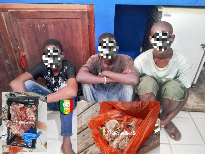 Association de malfaiteurs, vente de viande impropre à la consommation et mise en danger de la vie d'autrui : Trois individus arrêtés