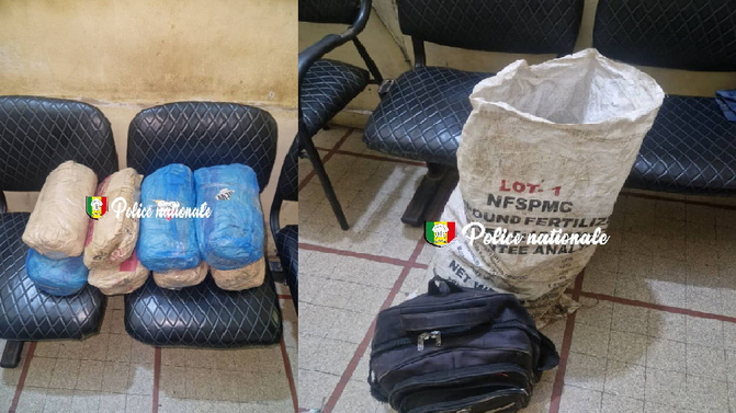 Kaolack - Lutte antidrogue : Une moto abandonnée avec sa cargaison, huit kilos de chanvre indien saisis