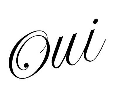 Référendum du 20 mars, pourquoi le "Oui" va triompher - Par Mamadou Lamine Bâ