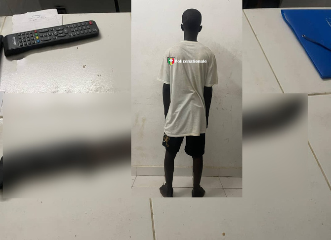 Tentative de vol en réunion avec violence : Arrestation d'un agresseur à Mbacké