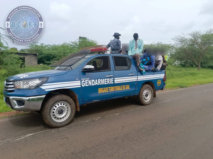 Émigration clandestine : la gendarmerie déjoue un départ à Mbodiène et interpelle 23 personnes
