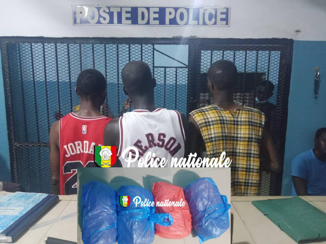 Coup de filet anti-drogue: trois individus interpellés à Grand Yoff