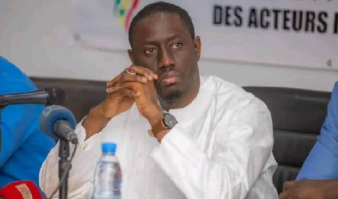 Pape Malick Ndour critique les « pièges » des Diaspora bonds : « L’État ne doit pas faire porter le risque de change, à la Diaspora »