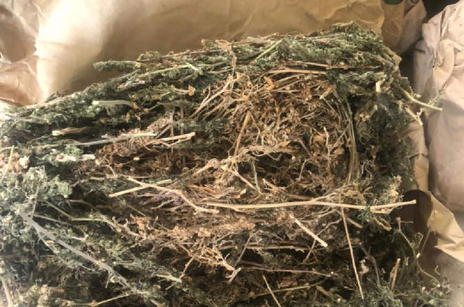 Trafic de drogue à Dieuppeul-Derklé : Interpelé en possession d’un cornet de chanvre, un individu tombe avec d’autres lots de stupéfiants