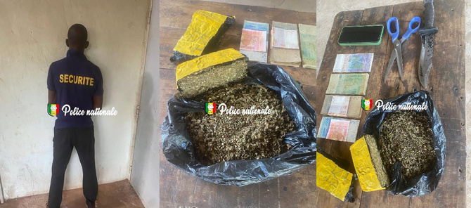 Un nouveau coup de filet à Kédougou : Un réseau de drogue démantelé dans le quartier Gada Dinguessou avec 500 g de chanvre indien