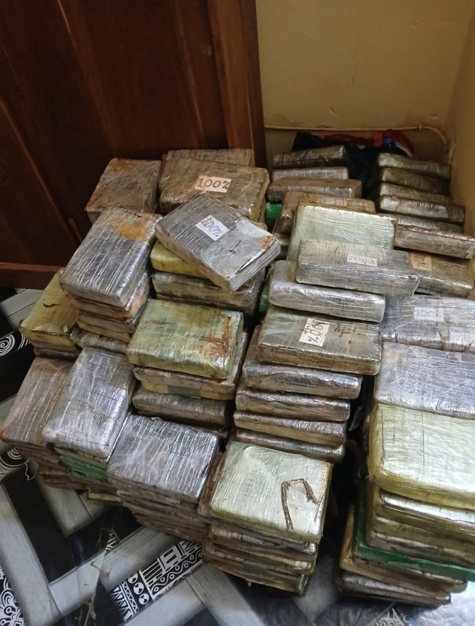 Saisie de 243 plaquettes de cocaïne d’une valeur de 19 milliards FCfa à Kalifourou