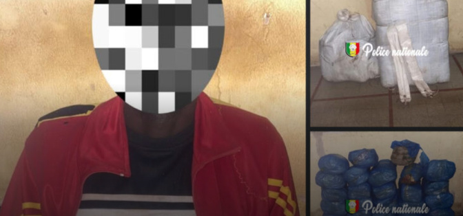 Kaolack : 29 kg de chanvre indien saisis lors d’une piège contre un réseau de trafic de drogue ciblé par l’OCRTIS