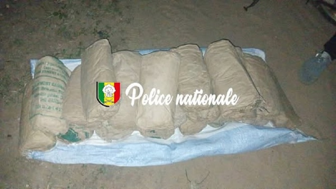 Trafic de drogue : les brigades de Thiès et Kaolack frappent fort à Nguekhokh, 20 blocs de chanvre saisis, la traque continue