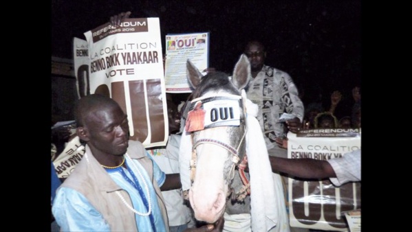 Fass Thiékène: Les apéristes mettent fin à l’invincibilité de El hadji Mohamed Dieng