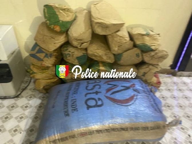 Lutte antidrogue : La Brigade régionale frappe fort à Kolda, 47 kg de chanvre indien saisis