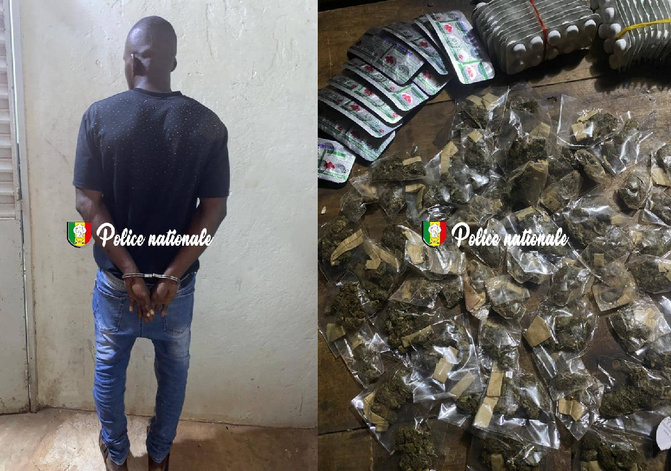 Kédougou – Trafic de drogues : La BRS saisit du Tramadol et du Kush à Kharakhena