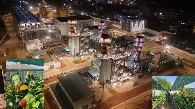 Cap des Biches : Quand Çalık Enerji conjugue transition énergétique et impact social