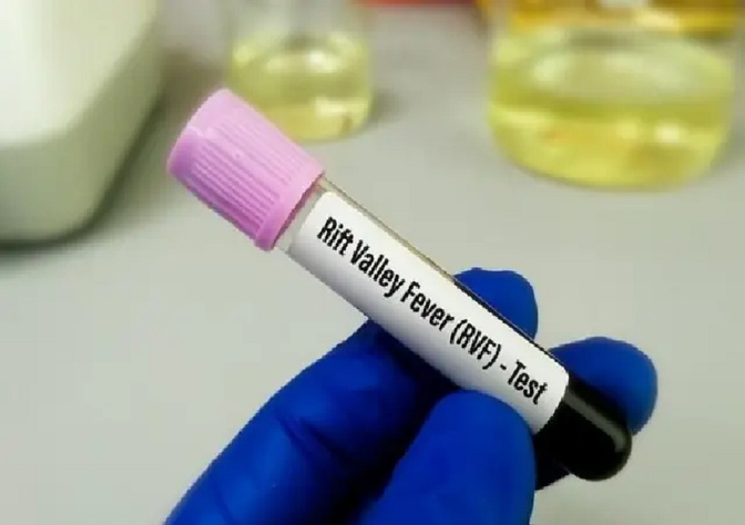 La Fièvre de la Vallée du Rift s'étend : Deux cas confirmés à Kédougou et Salémata