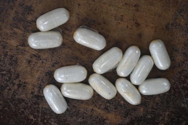 Ziguinchor : 70 boulettes de cocaïne saisies, un jeune en garde à vue